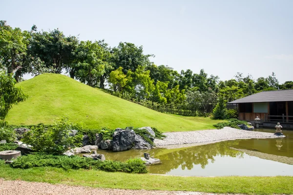 Green of Japanese garden — Stock Photo, Image