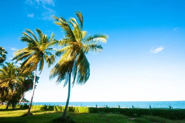 Día de luz solar cerca de la playa — Foto de Stock