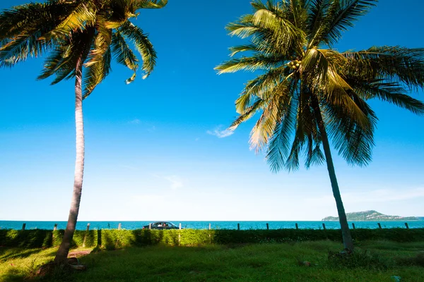 Luce solare diurna vicino alla spiaggia — Foto Stock