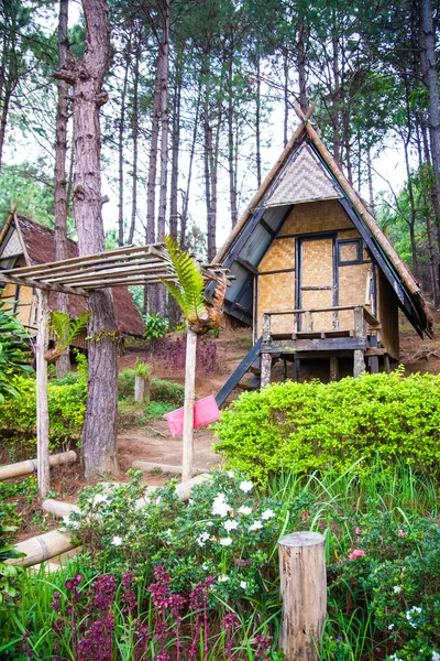 Bamboo hut in the pine forest for resting and relaxing — Stock Photo, Image