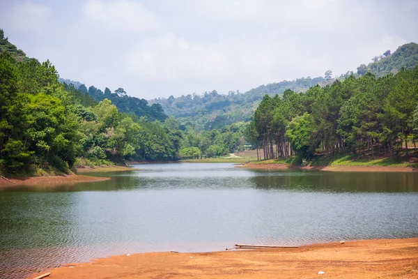 Yeşil orman ve göl güzel doğal sahnesi — Stok fotoğraf