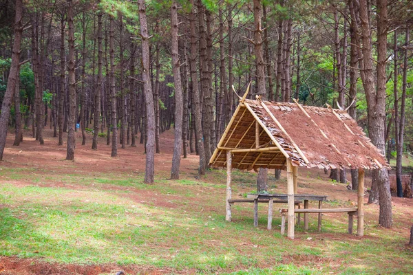 Bamboo hut in the pine forest for resting and relaxing — Stock Photo, Image