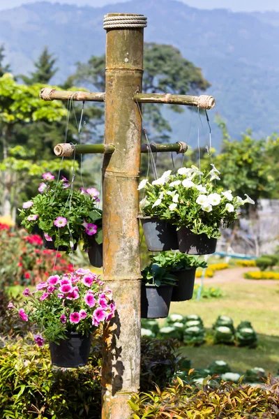 Fleurs suspendues dans un pot avec pilier en bambou — Photo