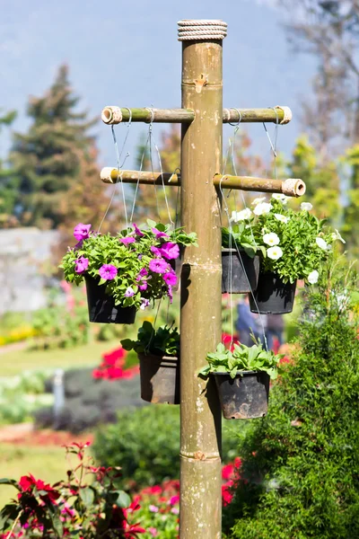 Fleurs suspendues dans un pot avec pilier en bambou — Photo