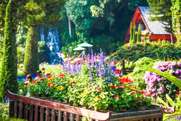 Mooie bloempot in tuin — Stockfoto