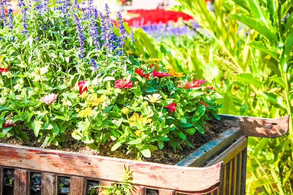 Beau pot de fleurs dans le jardin — Photo