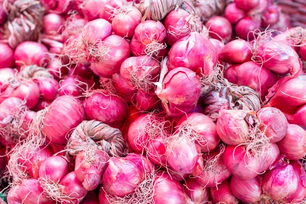 Patrón de cebolla roja — Foto de Stock