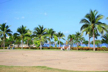 kamu Parkı-pattaya, Tayland denize yakın rahatlamak için