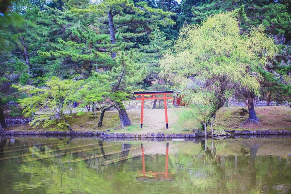 아름 답 고 평화로운 일본 물 정원 — 스톡 사진