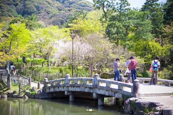 Folk er på besøg i Maruyama park i nærheden Yasaka shrine - Stock-foto