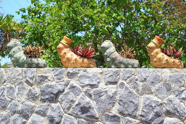 Worm shaped tree pots on the rock wall — Stock Photo, Image