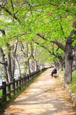 doğal yürüme yolu okayama, Japonya