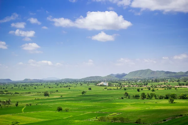 Champ de riz naturel et ciel bleu à la campagne de Thaïlande . — Photo