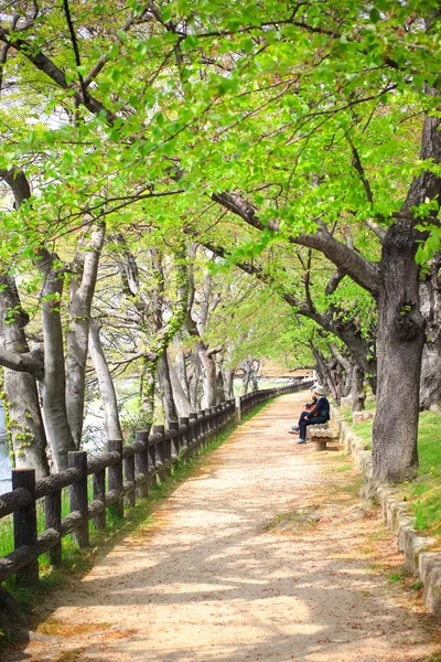 Přírodní pěší cesta v okayama, Japonsko — Stock fotografie