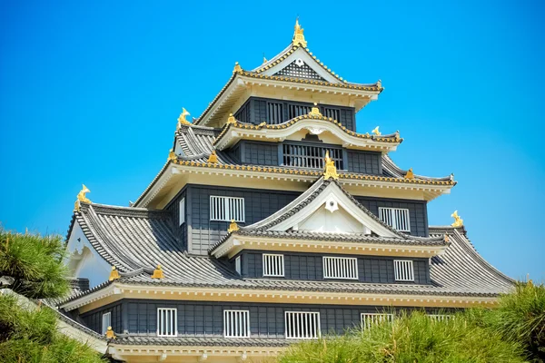 Замок Окаяма — стоковое фото