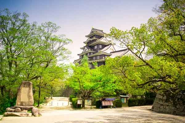 Hrad Okajama nebo vrána hrad Okajama — Stock fotografie