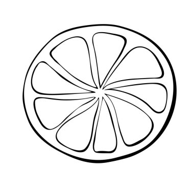 Vector outline sliced circle of citrus fruit in doodle style. Slice of tangerine lemon orange lime grapefruit black sketch clip art, isolated. Coloring book vector