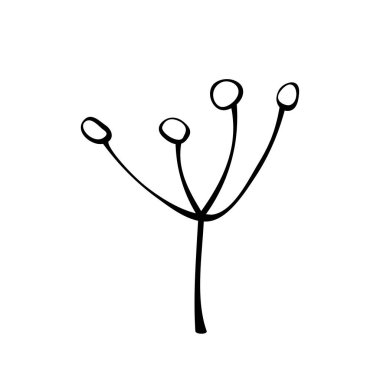 Böğürtlen ya da tohumla vektör konturu, soyut infloresans, meyveler, karalama tarzında dereotu. Botanik Clipart.