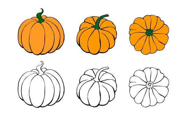 Set Pumpkin Ikon Vázlatos Stílusban Elszigetelt Fehér Háttér Vázlatos Firka — Stock Vector