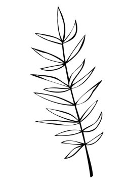 Karalama tarzında vektör ana hatlı biberiye filizi. Mutfak için klip sanatı, paketleme ve paketleme kağıdı tasarımı, menüler, restoranlar, ürünler