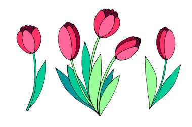 Üç kırmızı lale buketi. Vektör el çizimi tasarım ögesi. Baharın, sevginin, çiçeklenmenin sembolü. Tebrik kartı, düğün, doğum günü, anneler ya da kadınlar ya da sevgililer günü için klip sanatı.