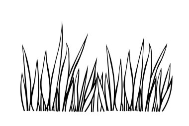 Bir demet ot. Elle çizilmiş basit siyah çizim vektör çizimi, karalama tarzında, beyaz arkaplanda izole edilmiş. Doğal tasarım ögesi, doğa teması üzerine klip sanatı, renklendirme sayfası.