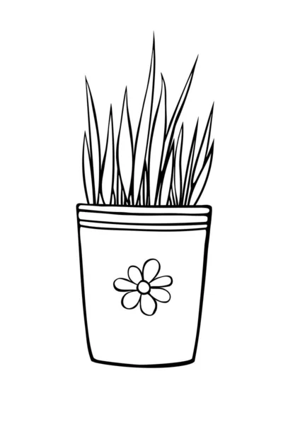 Květináč Dekorativní Trávou Rostlina Ručně Kreslené Jednoduché Černé Obrysové Vektorové — Stockový vektor
