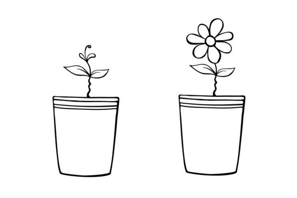 Set Vector Outline Pots Flower Plant Sprout Seedlings Doodle Style — Διανυσματικό Αρχείο