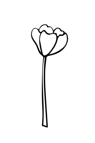 Контурна Квітка Тюльпанів Стеблі Листя Рука Намальована Простий Чорний Контур — стоковий вектор