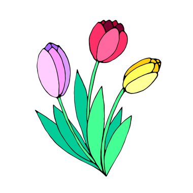 Üç buket kırmızı, pembe, sarı lale çiçekleri. Vektör el çizimi tasarım ögesi. Baharın, sevginin, çiçeklenmenin sembolü. Tebrik kartı, doğum günü, annelerin ya da kadınların ya da sevgililer gününün klavye sanatı