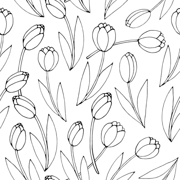 Modèle Vectoriel Sans Couture Avec Des Fleurs Tulipe Contour Dessiné — Image vectorielle