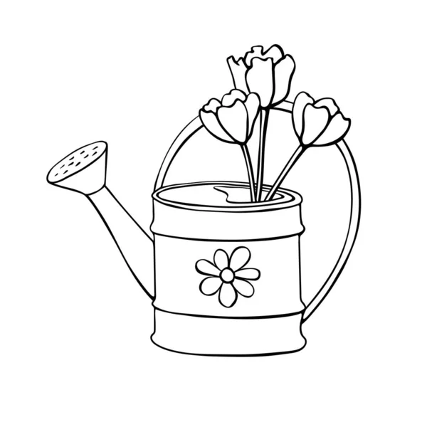 Vektorový Obrys Zavlažování Plechovky Jako Váza Jarními Tulipány Květy Ručně — Stockový vektor