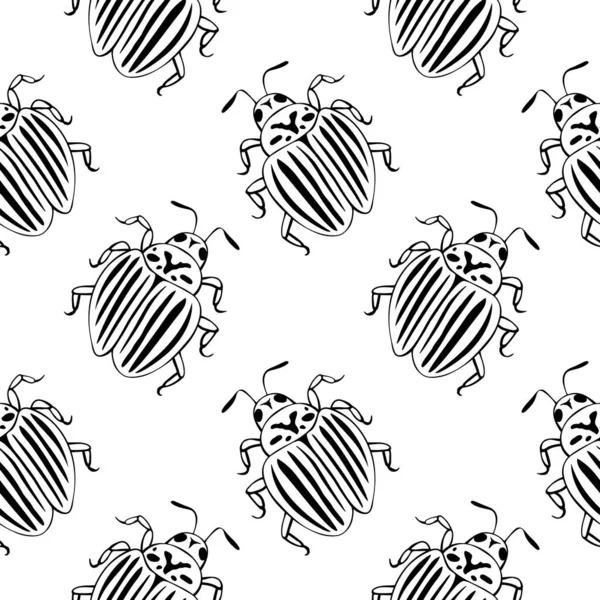 Modèle Vectoriel Sans Couture Coléoptères Colorado Contour Noir Dans Style — Image vectorielle