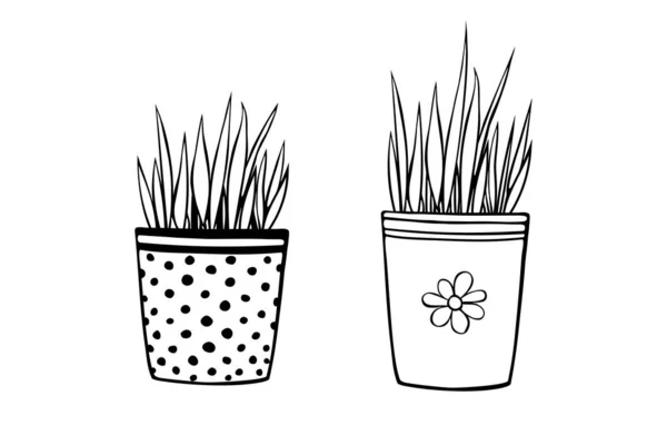 Blumentöpfe Mit Dekorativem Gras Pflanze Handgezeichnete Einfache Schwarze Umrissvektorillustration Cartoon — Stockvektor