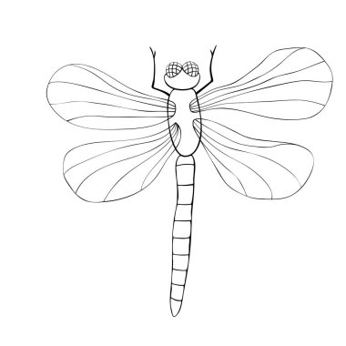 Beyaz arka planda izole edilmiş, Doodle tarzında siyah yusufçuk. Basit doğa tasarımı ögesi, bahar, yaz, kartpostal, boyama kitabı için klip sanatı