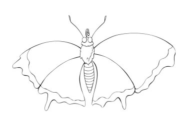 Kelebek şeklindeki sevimli bir kelebeğin, kanatlı desenleri olmayan siyah çizgisi. Çocukların yaratıcılığı için bir şablon. Basit tasarım ögesi, bahar, yaz, kartpostal, boyama kitabı