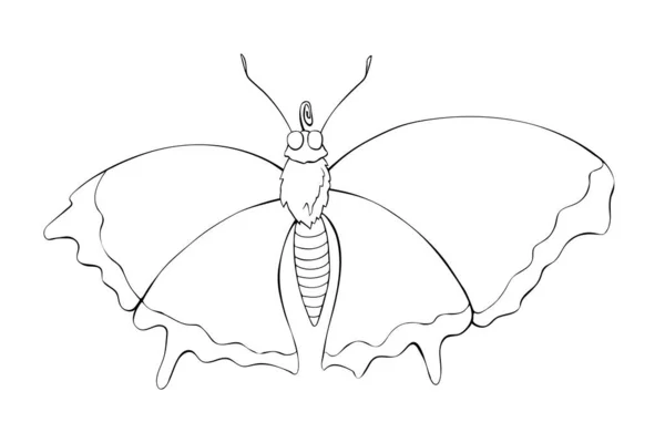 Kelebek Şeklindeki Sevimli Bir Kelebeğin Kanatlı Desenleri Olmayan Siyah Çizgisi — Stok Vektör