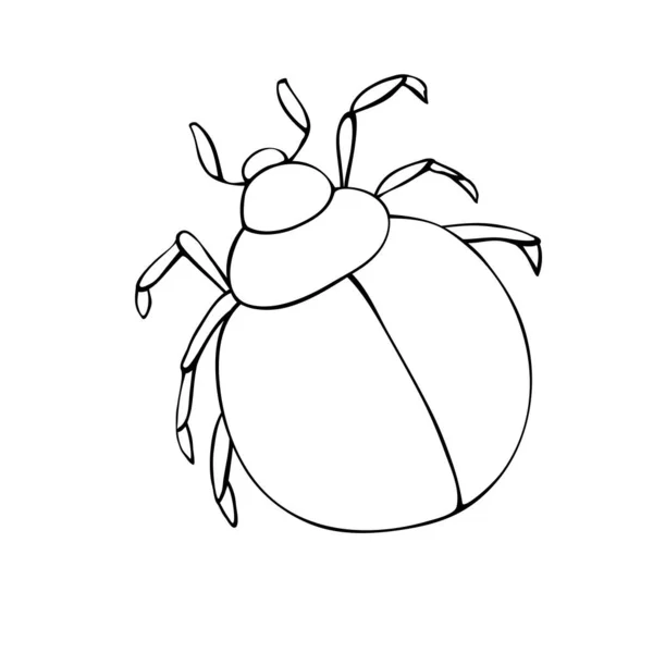 Escarabajo Abstracto Contorno Negro Vectorial Estilo Garabato Bichos Contorneados Insectos — Archivo Imágenes Vectoriales