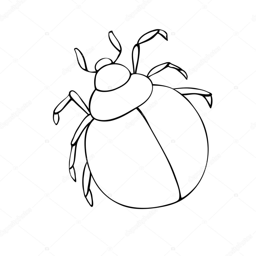 Vector black outline abstract beetle in doodle style. Contoured bug, insect, isolated. Clipart, design element on theme of nature, spring, summer. Template for children's creativity, coloring page