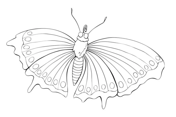 ドアスタイルでかわいい蝶のベクトルブラックアウトライン シンプルなデザイン要素 はがき ぬり絵のためのクリップアート — ストックベクタ