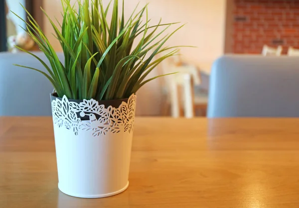 Vibrant Green Artificial Potted Plant Dining Table — Stock Photo, Image