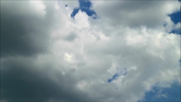 Time Lapse Filmato Nuvole Cumulus Grigie Bianche Che Scorrono Nel — Video Stock