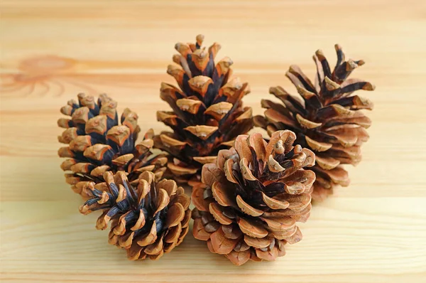 Closeup Group Natural Dry Pine Cones Wooden Background — Stock Photo, Image