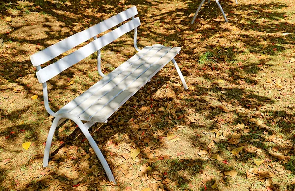 Banc Bois Couleur Blanche Dans Lumière Soleil Sous Les Arbres — Photo