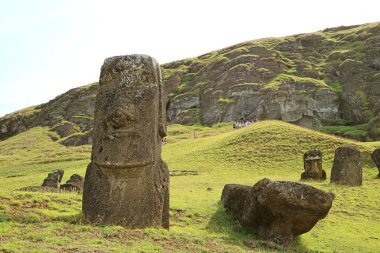 Bir grup terk edilmiş Moai heykeli, Şili 'nin Paskalya Adası' ndaki tarihi Moai taş ocağı Rano Raraku volkanı yamacına saçıldı.