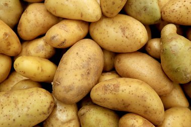 Arkaplan ya da Bayrak İçin Taze Patates Yığını