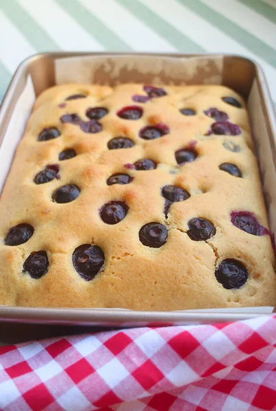 Fresh Baked Homemade Blueberry Cake Baking Pan — 스톡 사진