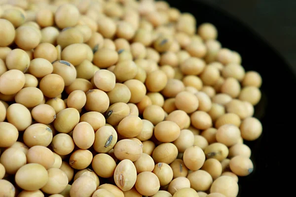 Closeup Pile Dried Soybeans Black Background — Stock Photo, Image