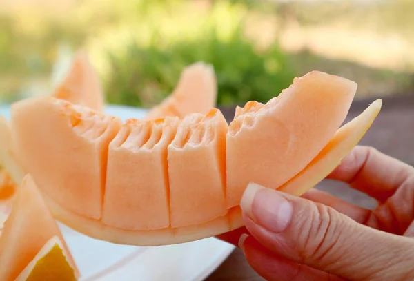 Close Woman Hand Picking Slice Fresh Cantaloupe Melon Rozmytym Ogrodem — Zdjęcie stockowe
