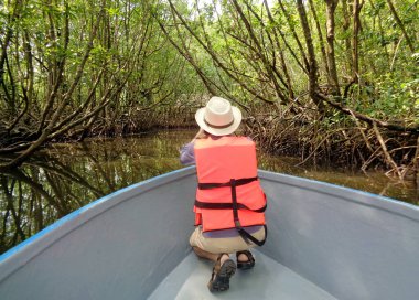 Tayland 'ın Doğu Bölgesi, Trat Eyaleti' ndeki Ranae Mangrove Ormanında Teknedeki Adam
